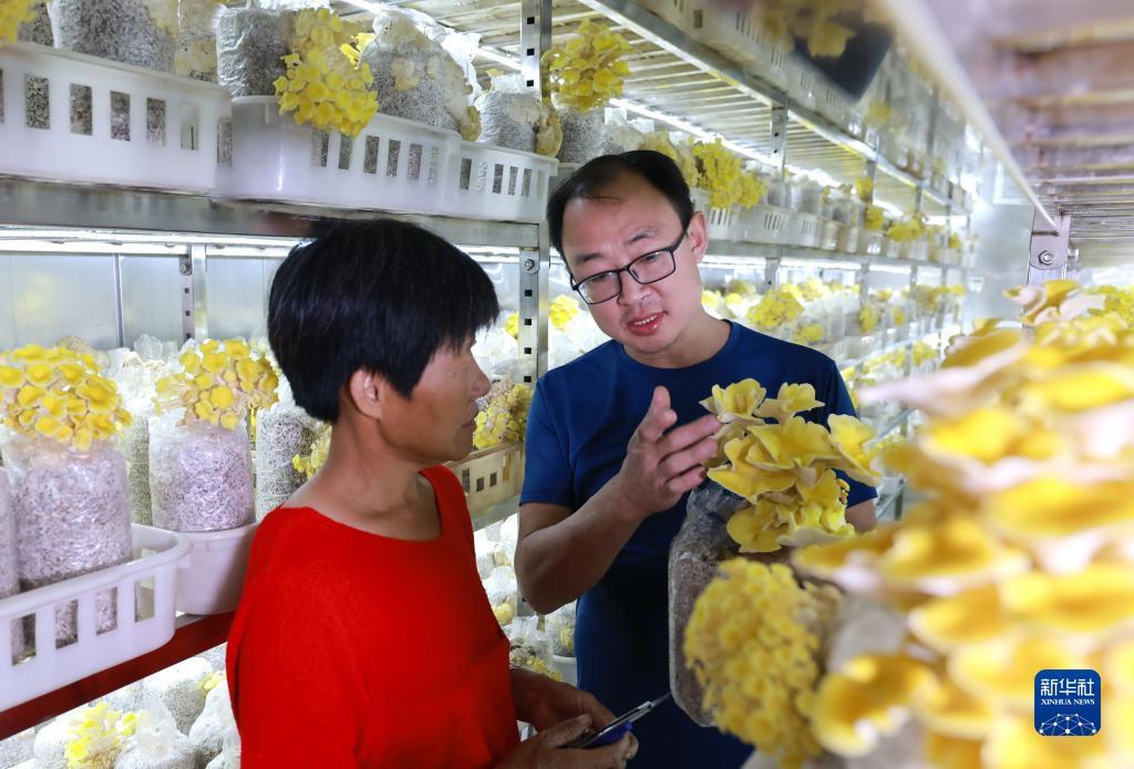 免费炸三张金花游戏下载